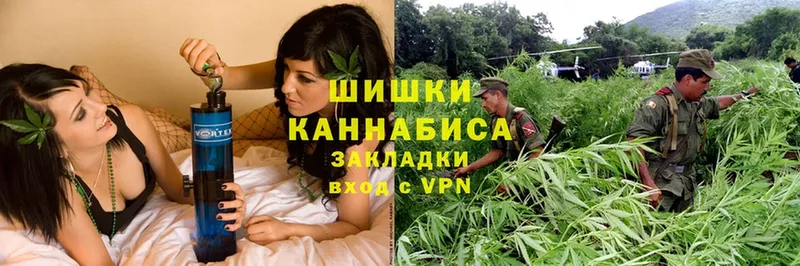 Шишки марихуана OG Kush  ссылка на мегу ССЫЛКА  Покровск 